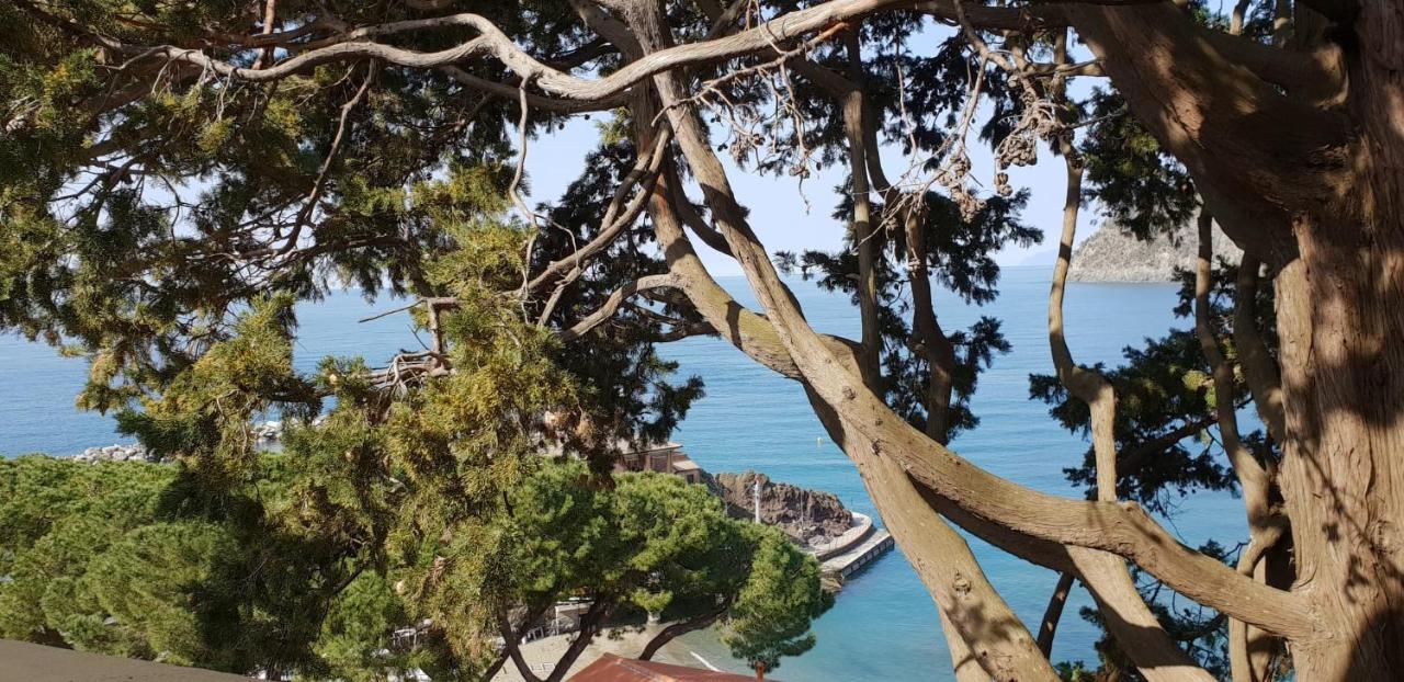 Villa Mare Blu Levanto Luaran gambar
